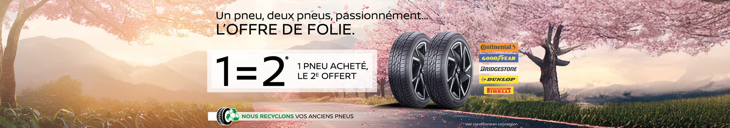 offre neubauer nissan pneus